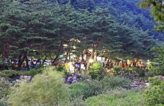 엄둔솔밭빌리지 고캠핑