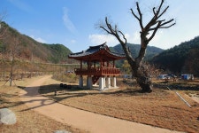 영주호오토캠핑장