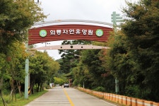 와룡자연휴양림 일반야영장