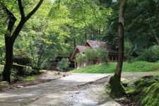 와룡자연휴양림 일반야영장 고캠핑