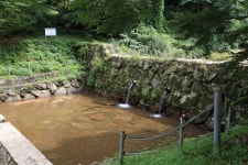 와룡자연휴양림 자동차야영장