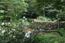 와룡자연휴양림 자동차야영장 고캠핑
