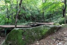 와룡자연휴양림 자동차야영장 고캠핑