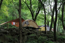 와룡자연휴양림 자동차야영장