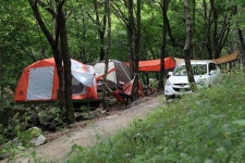 와룡자연휴양림 자동차야영장 고캠핑