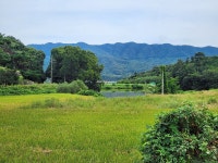 용인반딧불캠핑장