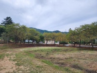 용인반딧불캠핑장