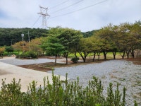 용인반딧불캠핑장