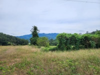 용인반딧불캠핑장