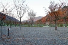 용천토리 오토캠핑장 고캠핑