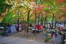 월출산국립공원 천황야영장 고캠핑