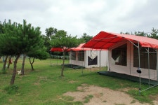 파라독스 애견펜션 / 돔글램핑&오토캠핑장