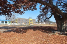 피플앤독 느티캠핑장 고캠핑