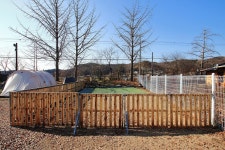 피플앤독 느티캠핑장 고캠핑