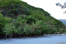 담터오지캠핑장 고캠핑