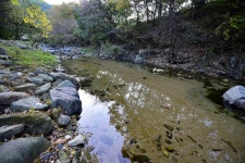 가평 물골숲 계곡 캠핑장
