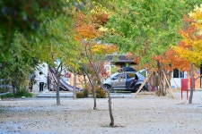 가평 물골숲 계곡 캠핑장 고캠핑