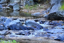 가평 물골숲 계곡 캠핑장 고캠핑