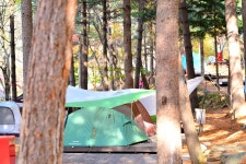 국립유명산자연휴양림(일반) 고캠핑