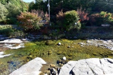 금다래캠핑장 고캠핑