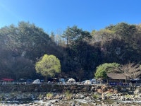 네스트캠핑 고캠핑