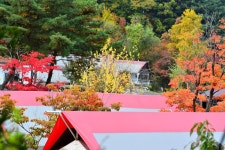 한국관광공사 고캠핑 고캠핑