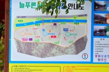 늘푸른쉼터 고캠핑