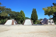 늘푸른캠핑장 고캠핑