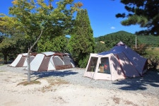 늘푸른캠핑장 고캠핑