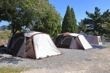 늘푸른캠핑장 고캠핑