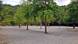 단풍숲캠핑장 고캠핑