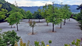 단풍숲캠핑장 고캠핑