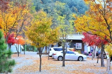 들꽃여울캠핑장 고캠핑