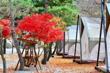 리즈밸리 고캠핑