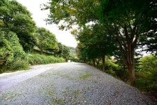 브라보캠핑장 고캠핑