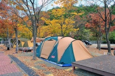 당항포관광지 오토캠핑장