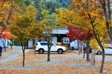 소풍캠핑장 고캠핑