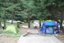 솔밭야영장 고캠핑