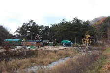 솔섬오토캠핑장 고캠핑