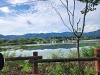 숲속에안뜰 캠핑장