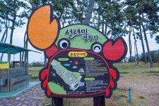 신안우전설레미캠핑장