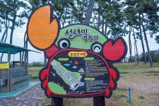 신안우전설레미캠핑장 고캠핑
