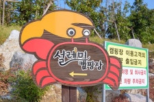 신안우전설레미캠핑장 고캠핑