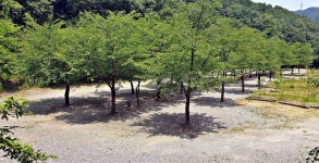 싱글벙글캠핑장