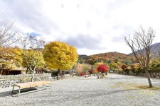 올래캠핑장 고캠핑