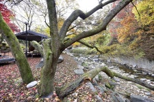 유명산밸리캠핑장