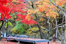 유명산밸리캠핑장