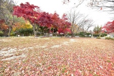 유명산밸리캠핑장