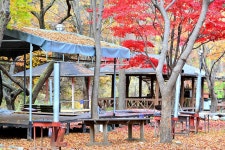 유명산밸리캠핑장 고캠핑