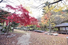 유명산밸리캠핑장 고캠핑